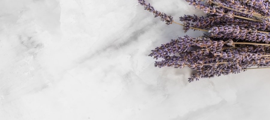 parfums pour homme en solde