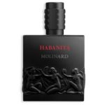 DW33bveYg9xLU4ZoNqSVt4