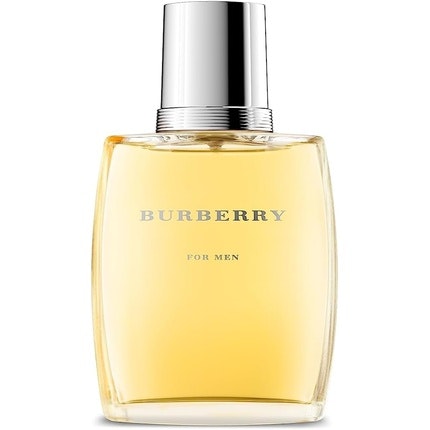 BURBERRY Pour Homme Eau de Toilette 100ml Modern
