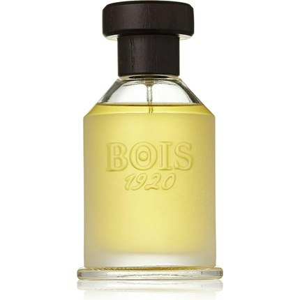 BOIS 1920 Vetiver Ambrato Eau de toilette Vapo 100ml