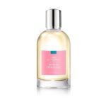 R8cesRGRyv2qkZyNGn8YzQ