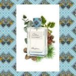 RkKwijriZJx6cGqmeoyTL3