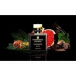 SgTQJH2cKuaC5EJwkpfpPu