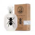 cKvzrjPBd8gXc3S4UPF9EM