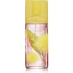 L6QvJ6Ldje5HyG2sfaKYg2