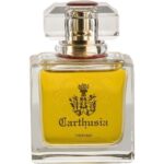 bT4X9dCqoeQsfbCFCjm8tS